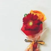 IROの画像