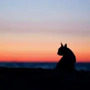 ネコポリス