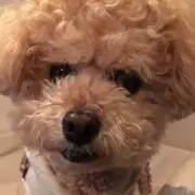 うるる
