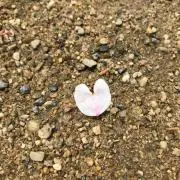 ぷち