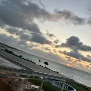 ドビーの画像