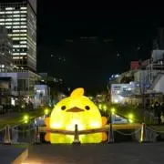 tanuky   used品の画像