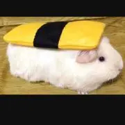 のん