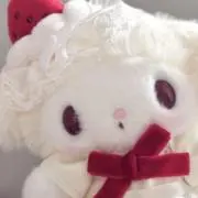 ココの画像