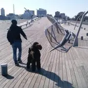 kenの画像