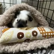 ようこ