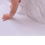 shinoの画像