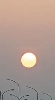 ふみの画像