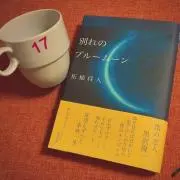 seytrueve