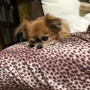 CoCo ❤️ Sora