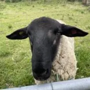 Chacky＠プロフ読んでおくれよ…