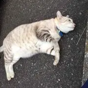 ひろ