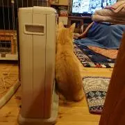 れな(※プロフ必読)