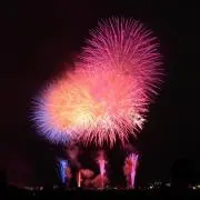 ぱんだ0523の画像
