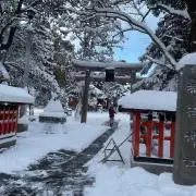 花見
