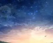 んちょーの画像