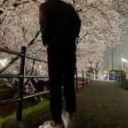 YMDの画像