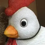 タカ