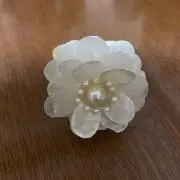 Tomoの画像