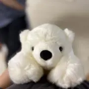 saの画像