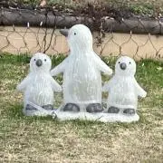 とことこ〈匿名配送〉の画像