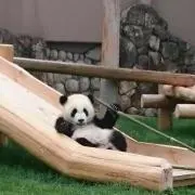 ちー