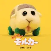 まいたけ【即購入歓迎◎】の画像