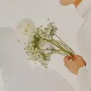 ☆の画像