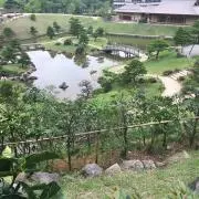 Emeraldの画像