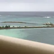 cocoの画像