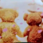 ぽんぽこの画像