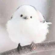 リオン