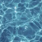 maisyの画像