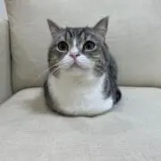 YURIの画像