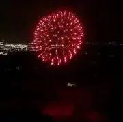 オルガン