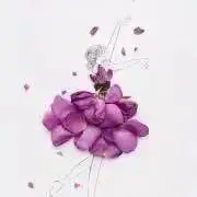 licca* ⚠️コピー転載不可⚠️の画像