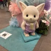 ぴぴの画像
