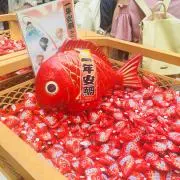 きんちゃんの画像