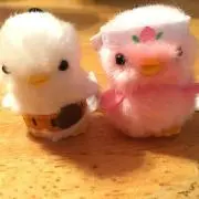 りんご【即購入大歓迎！】の画像