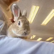 めの画像
