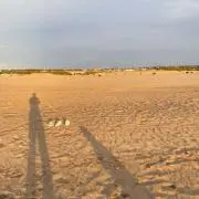 たいちゃん★の画像