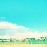 ときメモGS3 設楽聖司 プリザーブドフラワー ときメモGS3 設楽聖司 プリザーブドフラワー ときメモGS3 設楽聖司