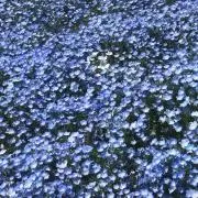 ☆ ※プロフ必読の画像