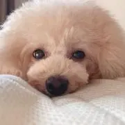 kasumiの画像