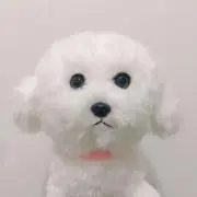 たくあんの画像
