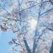 なぎなぎの画像
