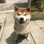 海坊主の画像