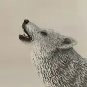 marineの画像