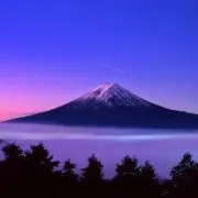 みる