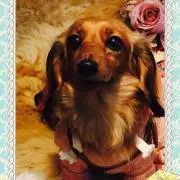 ☆ベリモナ☆の画像